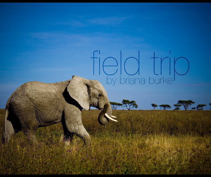 View Field Trip by Briana Burke