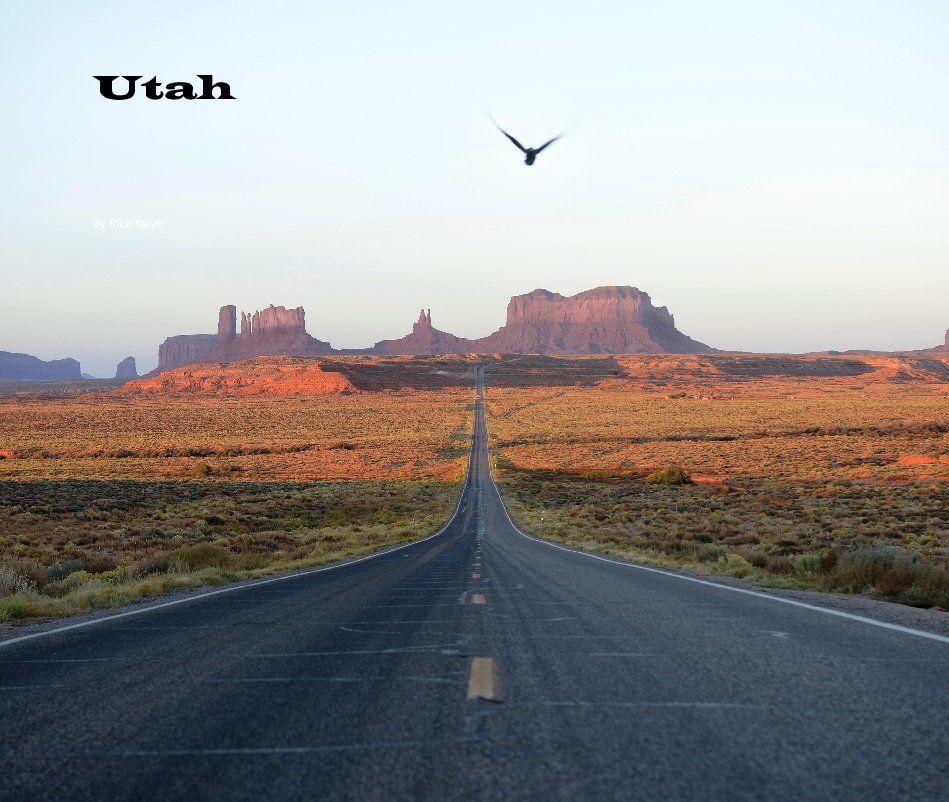 View Utah by Rick Moye