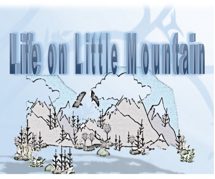 View Life on Little Mountain by ML Padgett