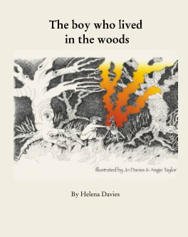 The boy who lived in the woods book cover