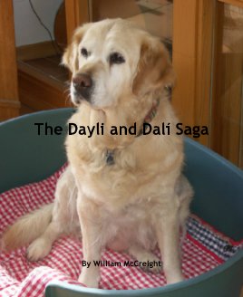 The Dayli and Dalí Saga book cover