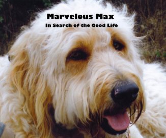 Marvelous Max book cover