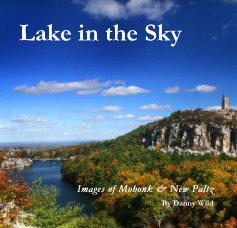 Lake in the Sky book cover