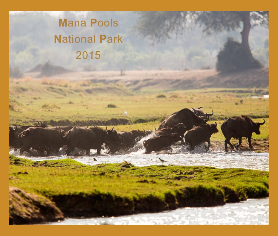 Visualizza Mana Pools Safari 2015 di Andrew Cook