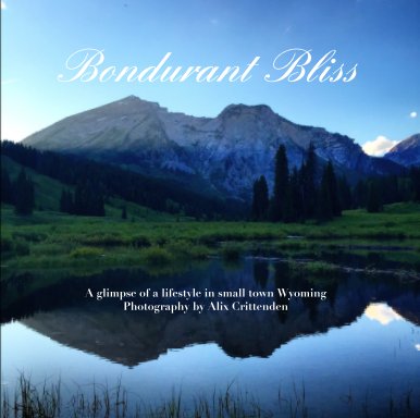 Bondurant Bliss book cover