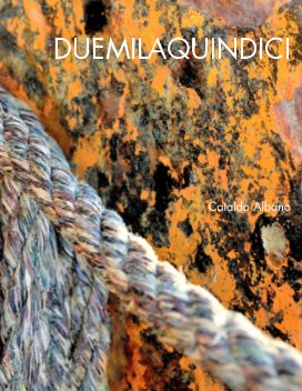 DUEMILAQUINDICI book cover
