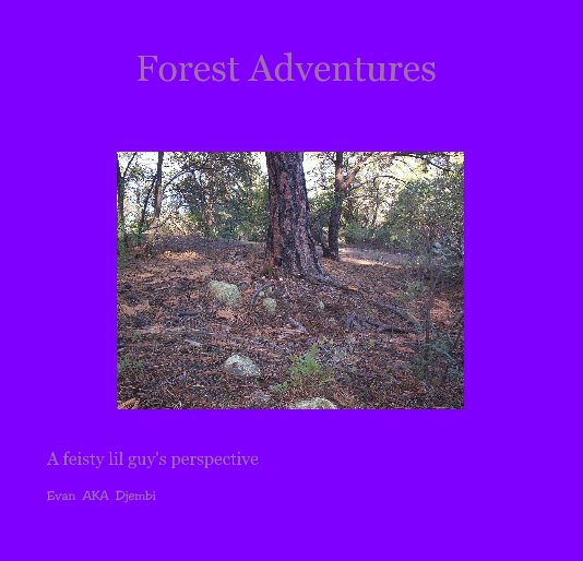 View Forest Adventures by Evan AKA Djembi