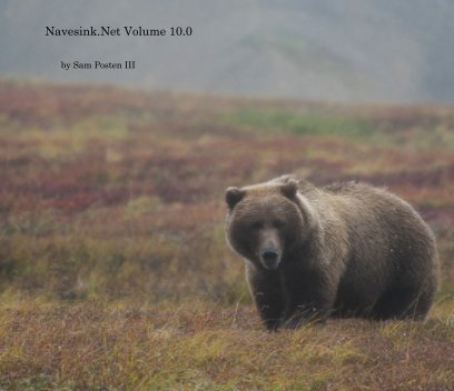 Navesink.Net Volume 10.0 book cover