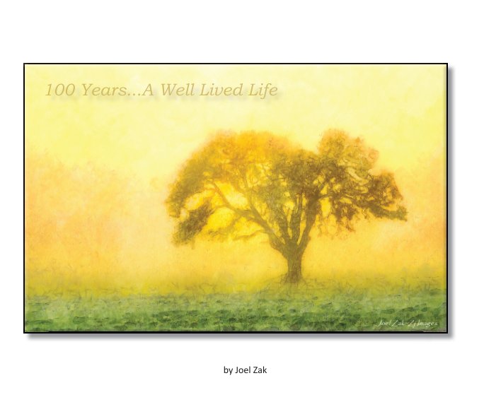 100 Years: A Well Lived Life nach Joel Zak anzeigen