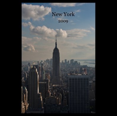 New York 2009 book cover