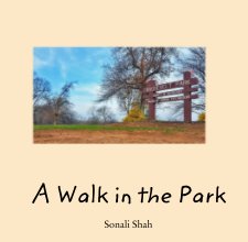 A Walk in the Park book cover