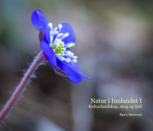 Natur i Innlandet I book cover