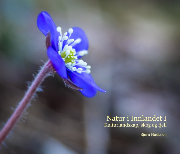 Ver Natur i Innlandet I por Bjørn Haslerud