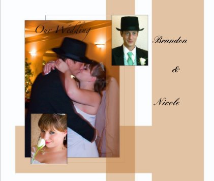 Brandon & Nicole book cover