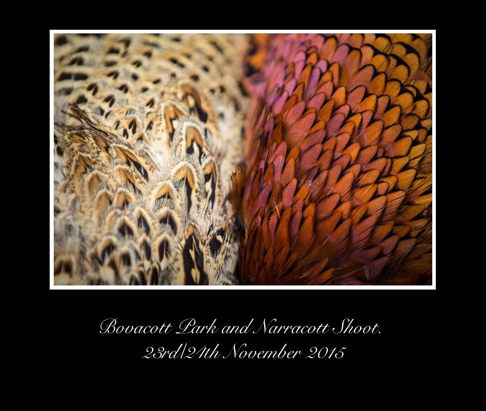 View Bovacott Park and Narracott Shoot. 23rd/24th November 2015 by Dean Mortimer