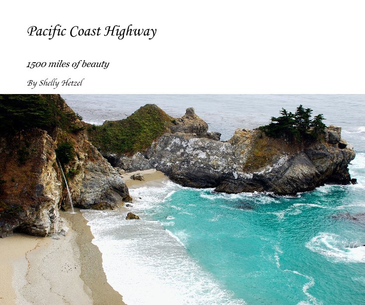 View Pacific Coast Highway by Shelly Hetzel