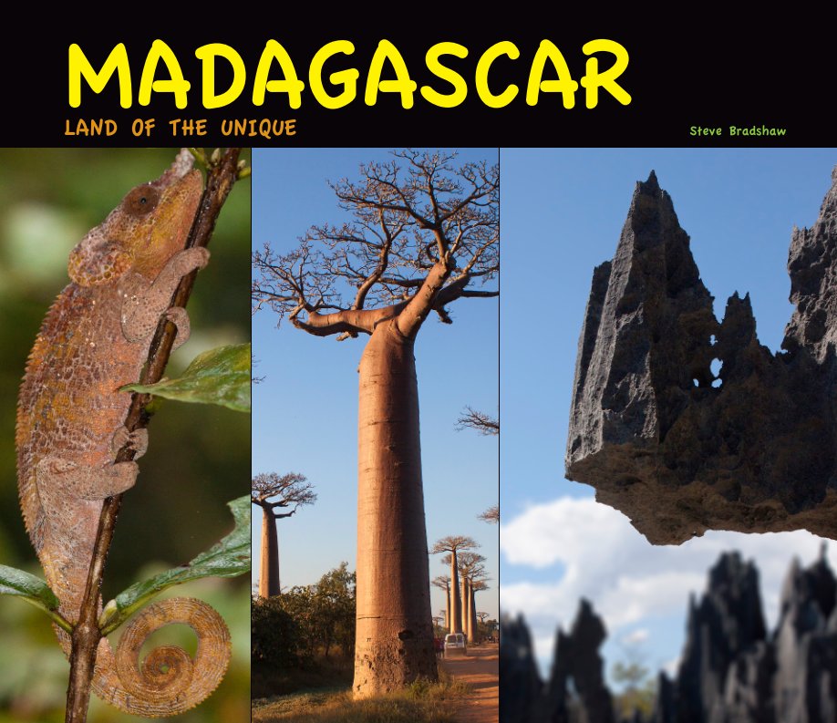 Bekijk MADAGASCAR op STEVE BRADSHAW