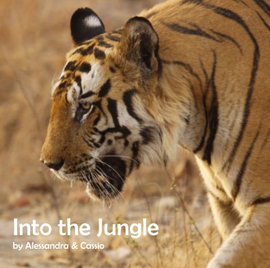 Into the Jungle by Alessandra & Cassio book cover