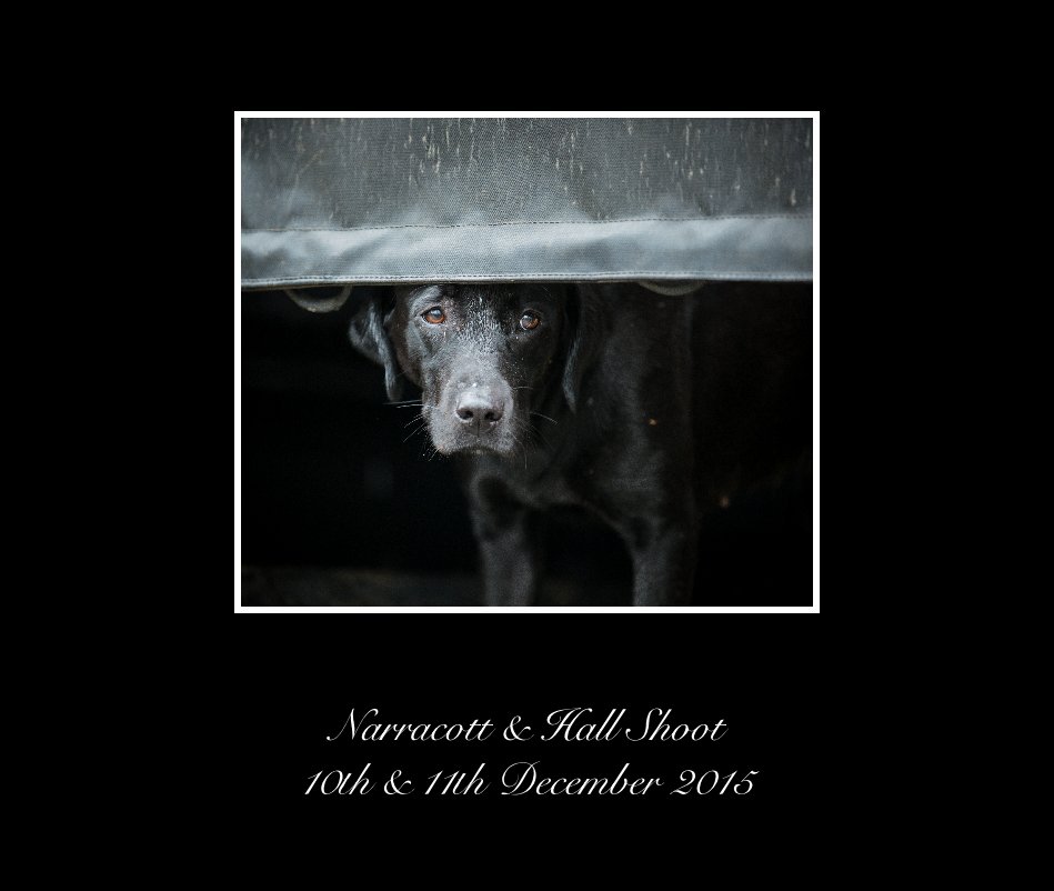 View Narracott and hall shoot 10-11/12/15 by Dean Mortimer