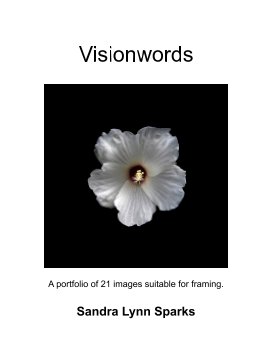 Visionwords book cover