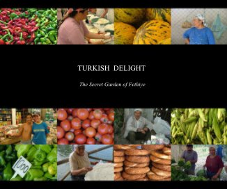 TURKISH DELIGHT book cover