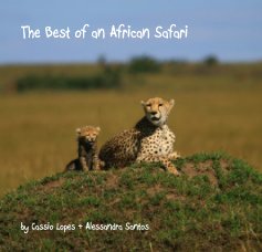 The Best of an African Safari book cover
