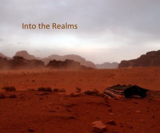 Into the Realms book cover
