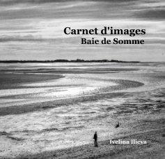 Carnet d'images Baie de Somme book cover