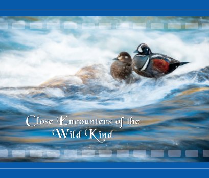 Close Encounters of the Wild Kind book cover