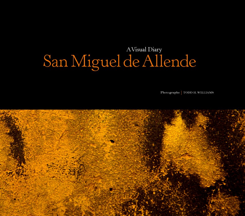 View San Miguel de Allende by Todd Williams