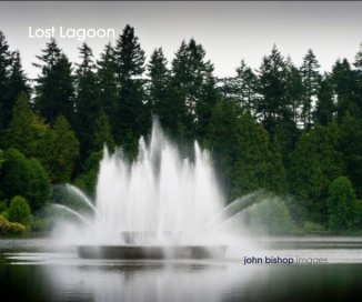 Lost Lagoon book cover