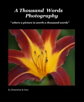 A Thousand Words Photography book cover