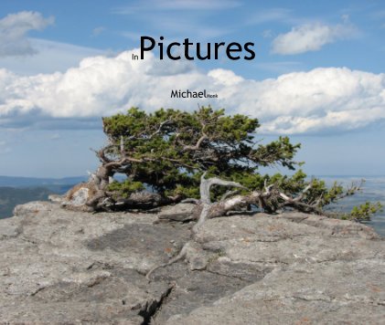 In Pictures book cover