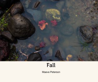 Fall book cover