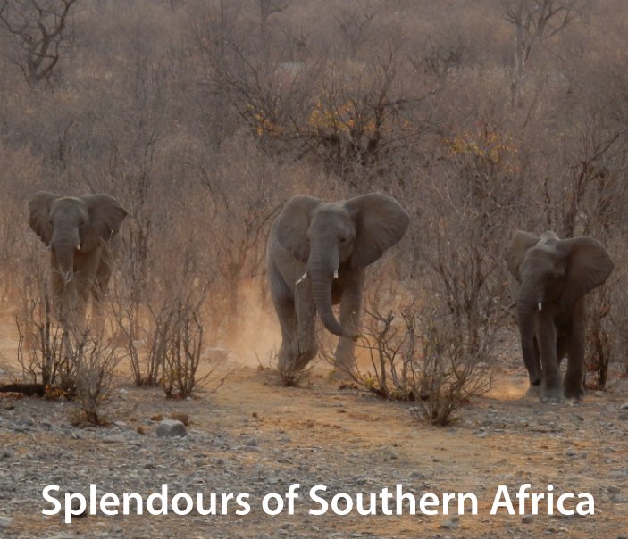 View Splendours of Southern Africa by Joyce Pinsker