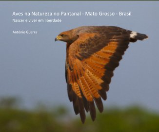 Aves na Natureza no Pantanal - Mato Grosso - Brasil book cover