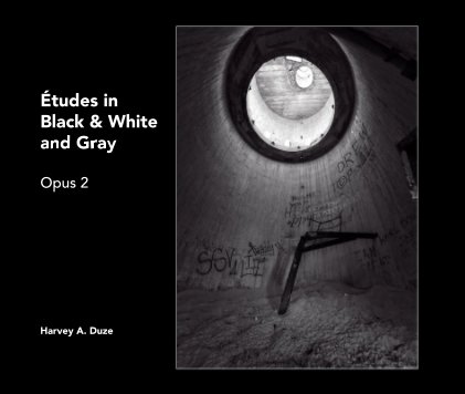 Études in Black & White and Gray Opus 2 book cover