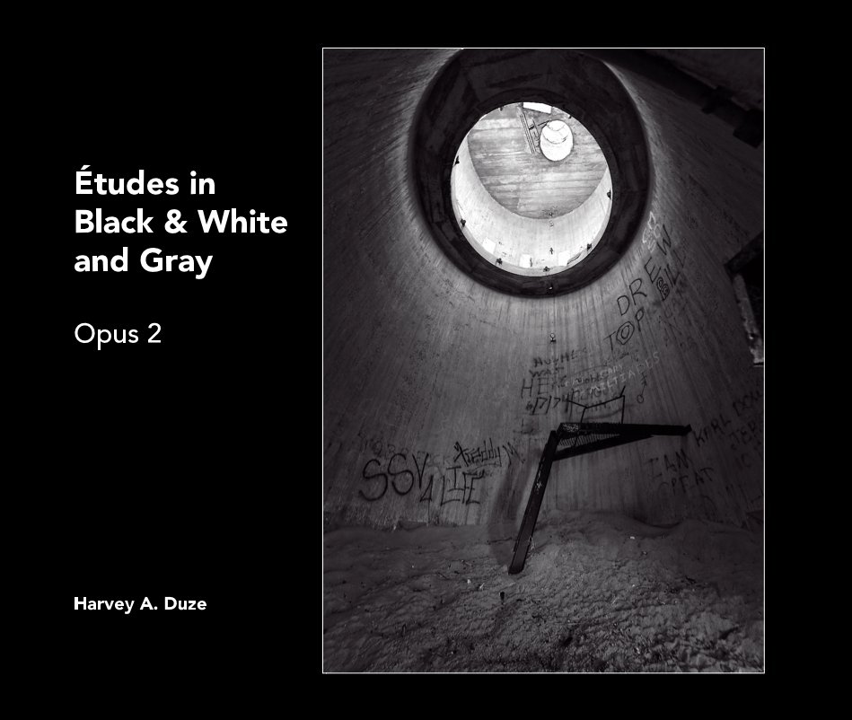 View Études in Black & White and Gray Opus 2 by Harvey A. Duze