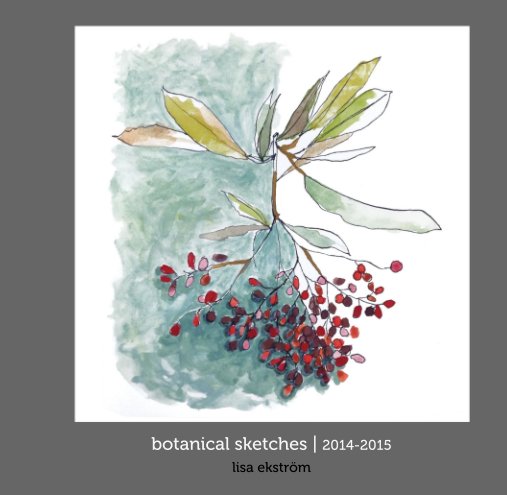 View botanical sketches by lisa ekström