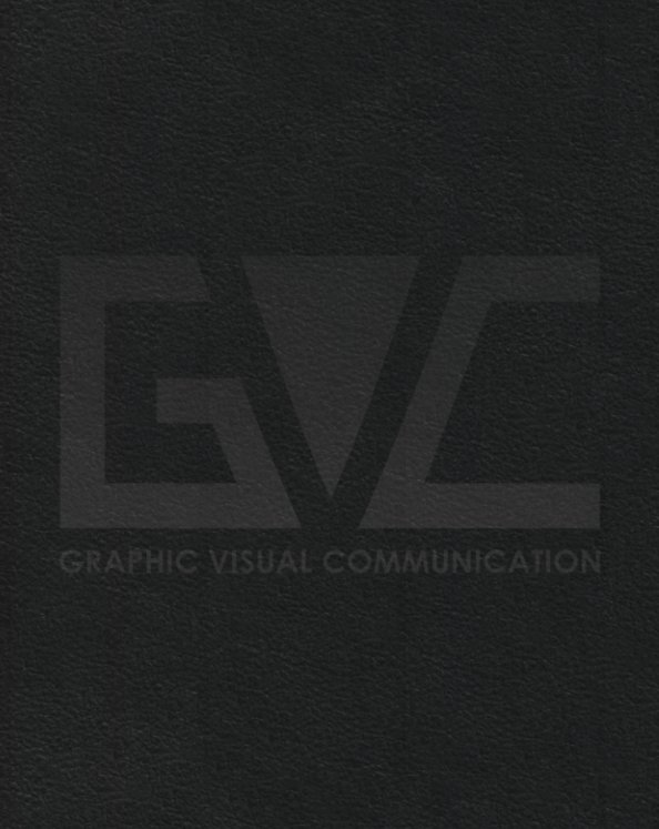 Ver GVC portfolio por Viktoryia Svidlouskaya