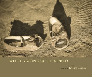 WHAT A WONDERFUL WORLD book cover