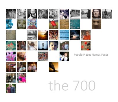 the 700 book cover