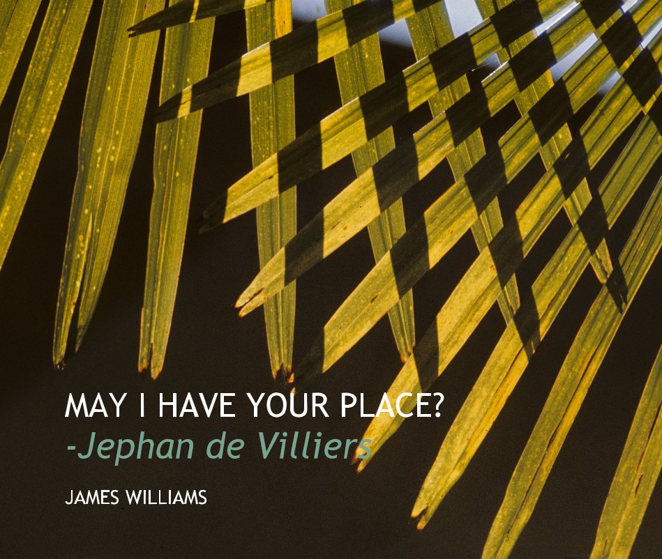 View MAY I HAVE YOUR PLACE? -Jephan de Villiers by JAMES WILLIAMS