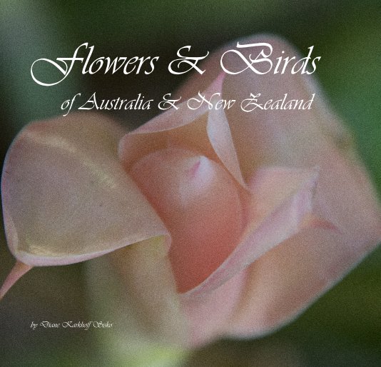 View Flowers & Birds of Australia & New Zealand by Diane Karkhoff Sisko