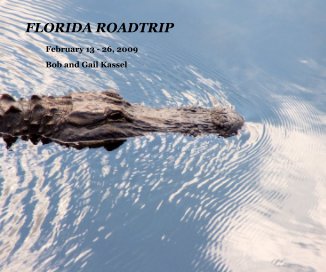 FLORIDA ROADTRIP book cover