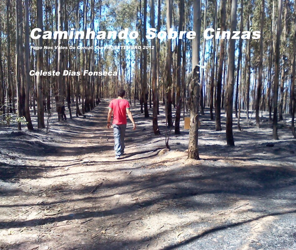 Ver Caminhando Sobre Cinzas Fogo Nos Vales Do Cercal, Ourem, SETEMBRO 2012 por Celeste Dias Fonseca