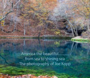 America the Beautiful....from sea to shining sea book cover