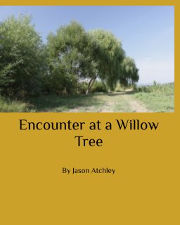 Encoutner at a Willow Tree book cover
