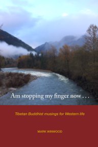 Am Stopping My Finger Now . . . book cover