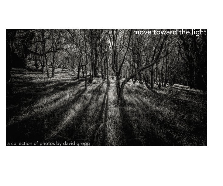 View move toward the light by david gregg